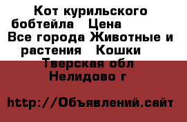 Кот курильского бобтейла › Цена ­ 5 000 - Все города Животные и растения » Кошки   . Тверская обл.,Нелидово г.